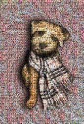 raleighinwinterw_burberryscarf